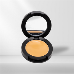 Image of Hide N Seek Concealer