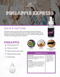 Image of Piña Express