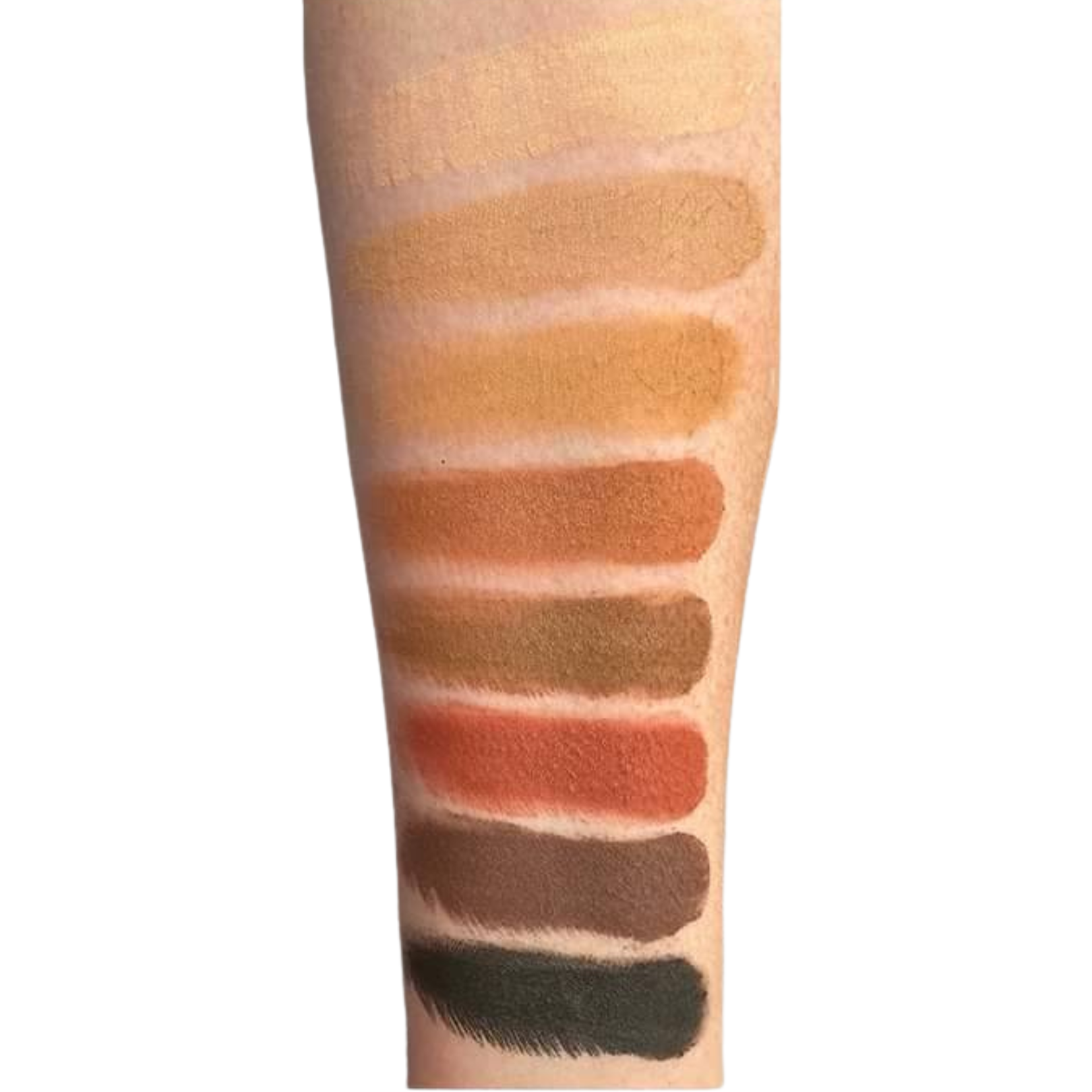 Image of Pumpkin Spice & Everything Nice